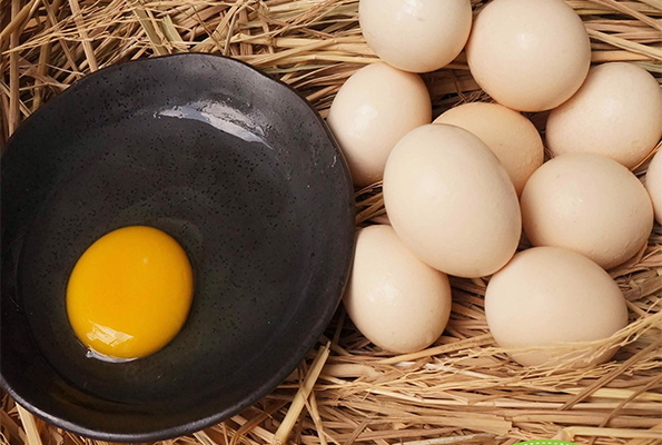 Trứng gà ác Trung Nam Vina Foods